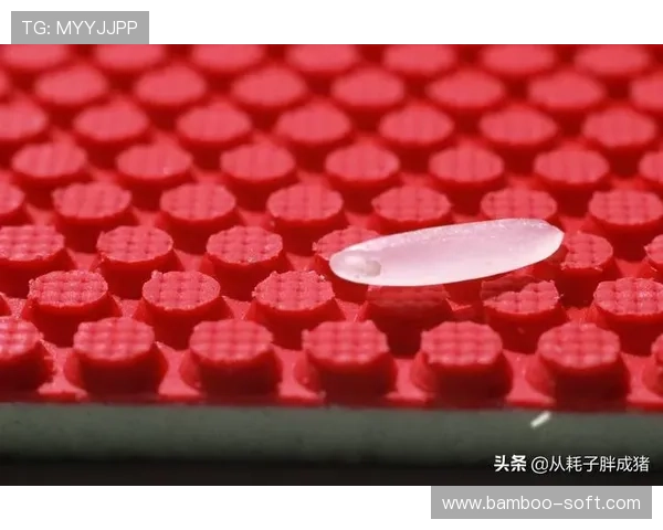 武汉乒乓球队的阵地战揭秘与深度解析乒乓球技艺的背后故事 武汉乒乓球队的阵地战揭秘与深度解析乒乓球技艺的背后故事