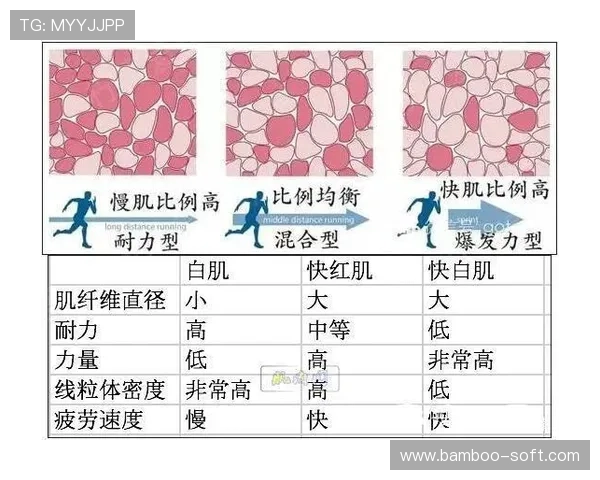 吴敏独家分享乒乓球技巧与心得助你提升球技的秘诀与经验