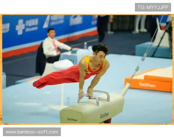 成都羽毛球队在大师赛中的拼搏历程与荣耀时刻回顾