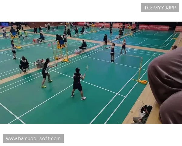 武汉羽毛球队总决赛表现分析与状态评估的深度解读