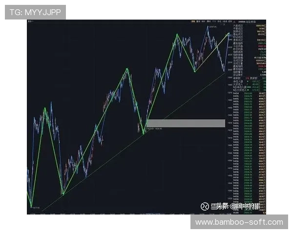 武汉羽毛球队与广州羽毛球队赛后复盘分析比赛节奏与战术对比